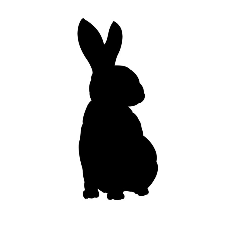 Rabbit silhouette hand drawn vector isolated image