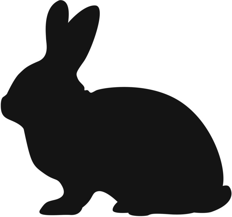 vector file of rabbit